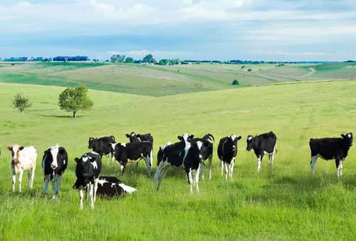 20181015134146054605