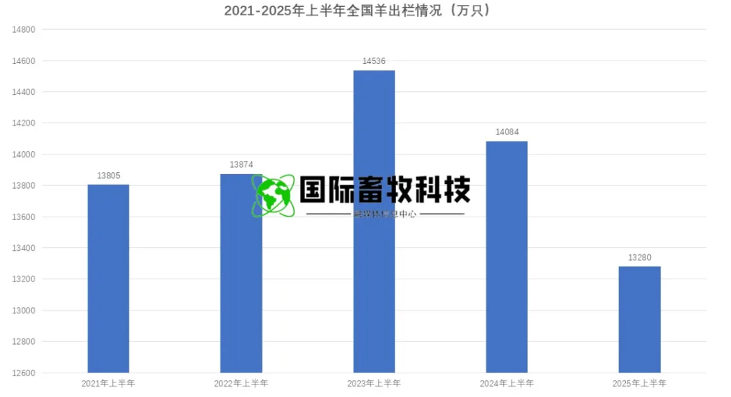 20250722144636073607