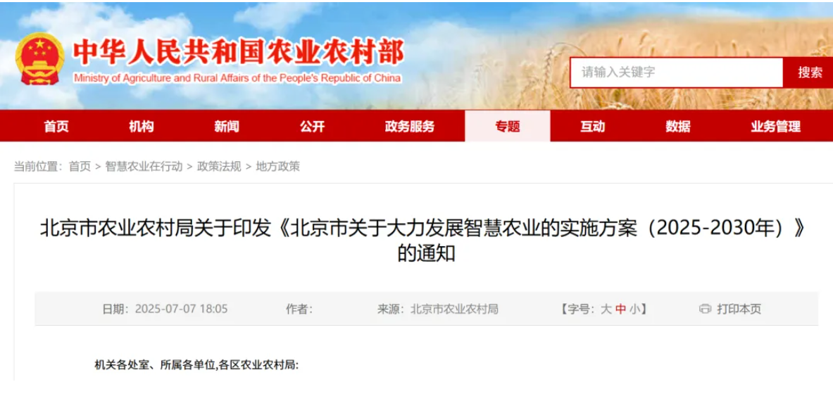 20250804090747824782