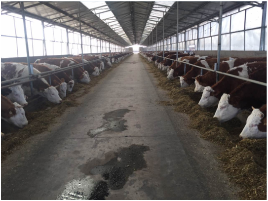 ��ҳ- ���������й��ٷ���վ