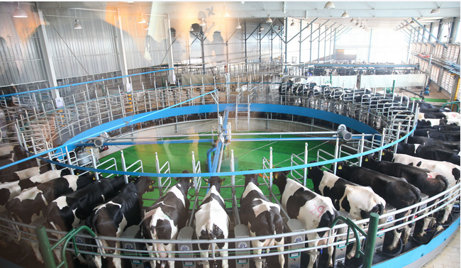 ��ҳ- ���������й��ٷ���վ