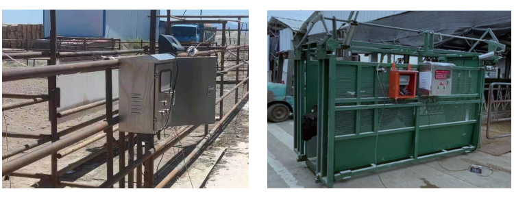 ��ҳ- ���������й��ٷ���վ