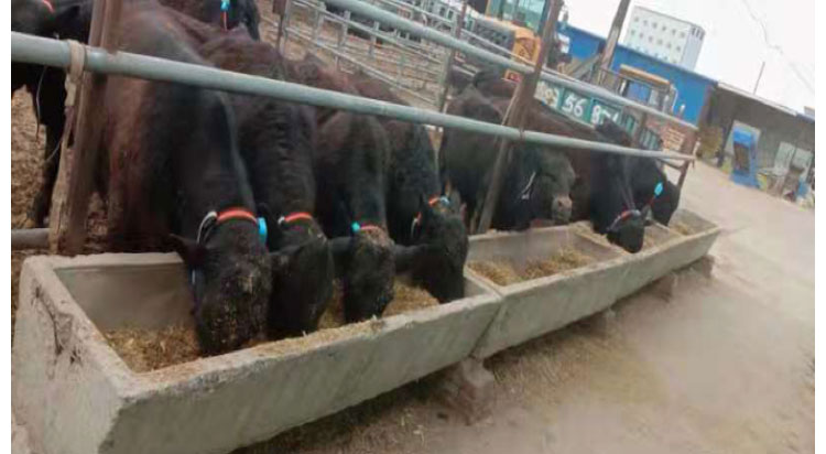 ��ҳ- ���������й��ٷ���վ