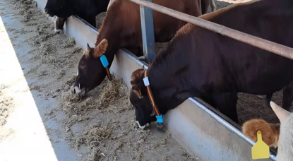 ��ҳ- ���������й��ٷ���վ