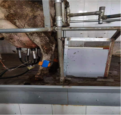 ��ҳ- ���������й��ٷ���վ