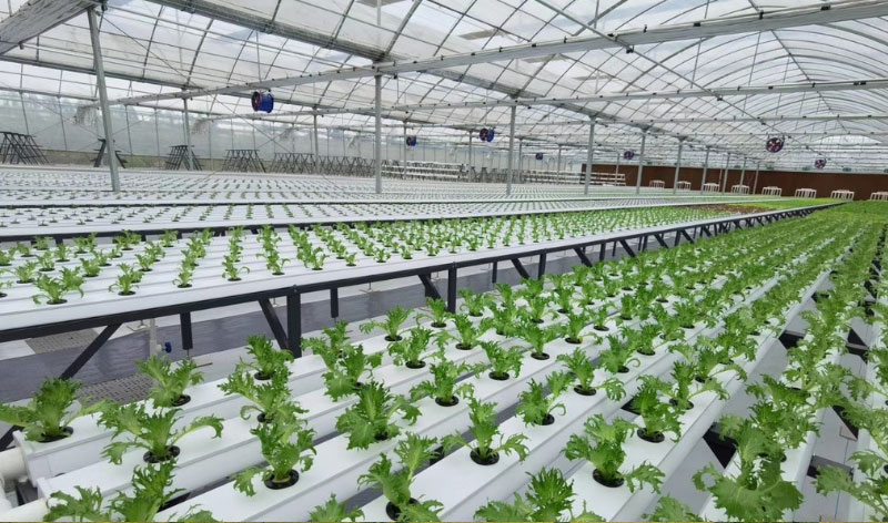 ��ҳ- ���������й��ٷ���վ