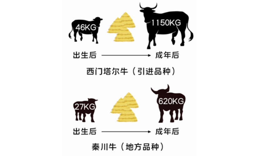 ��ҳ- ���������й��ٷ���վ