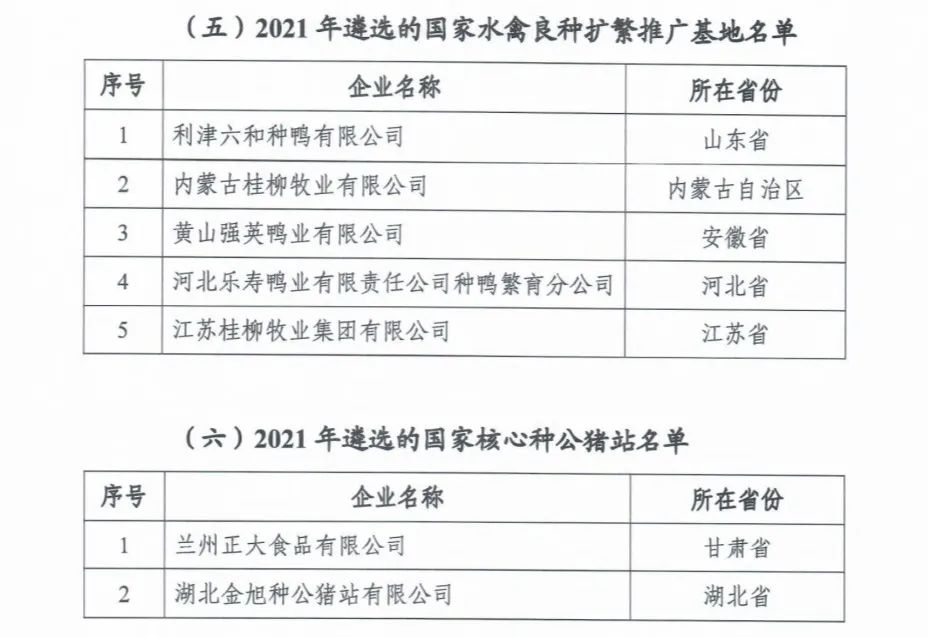 ��ҳ- ���������й��ٷ���վ