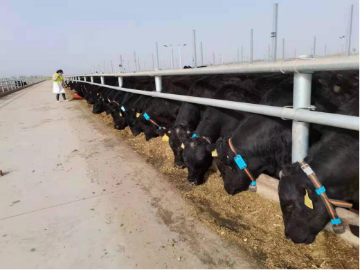 ��ҳ- ���������й��ٷ���վ