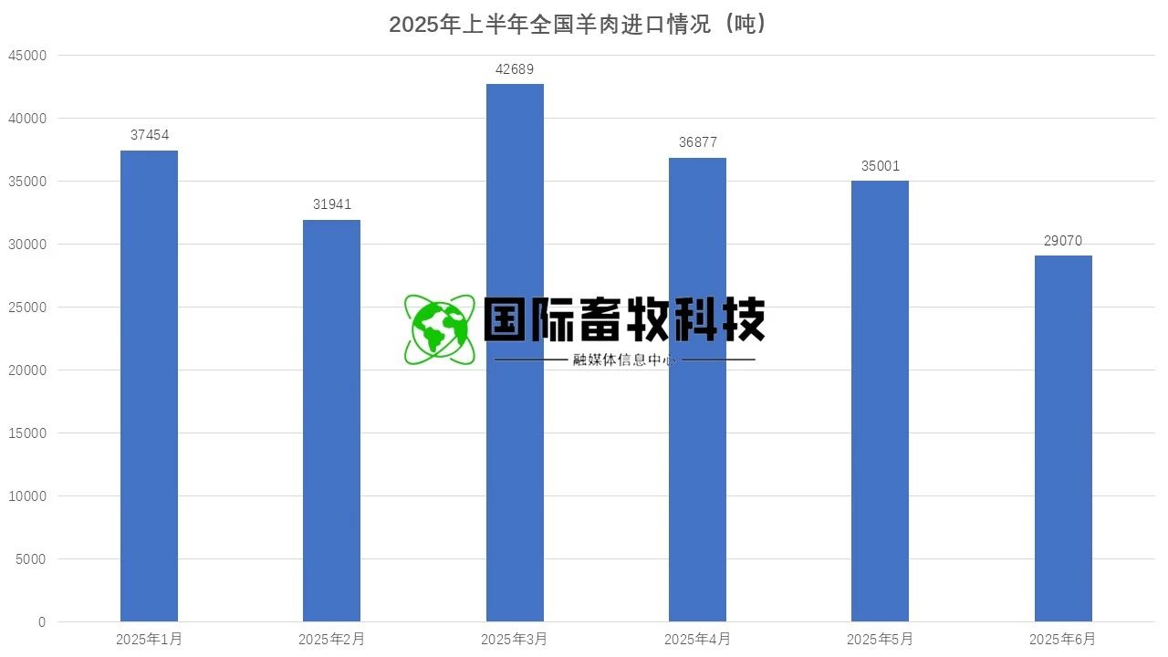 ��ҳ- ���������й��ٷ���վ